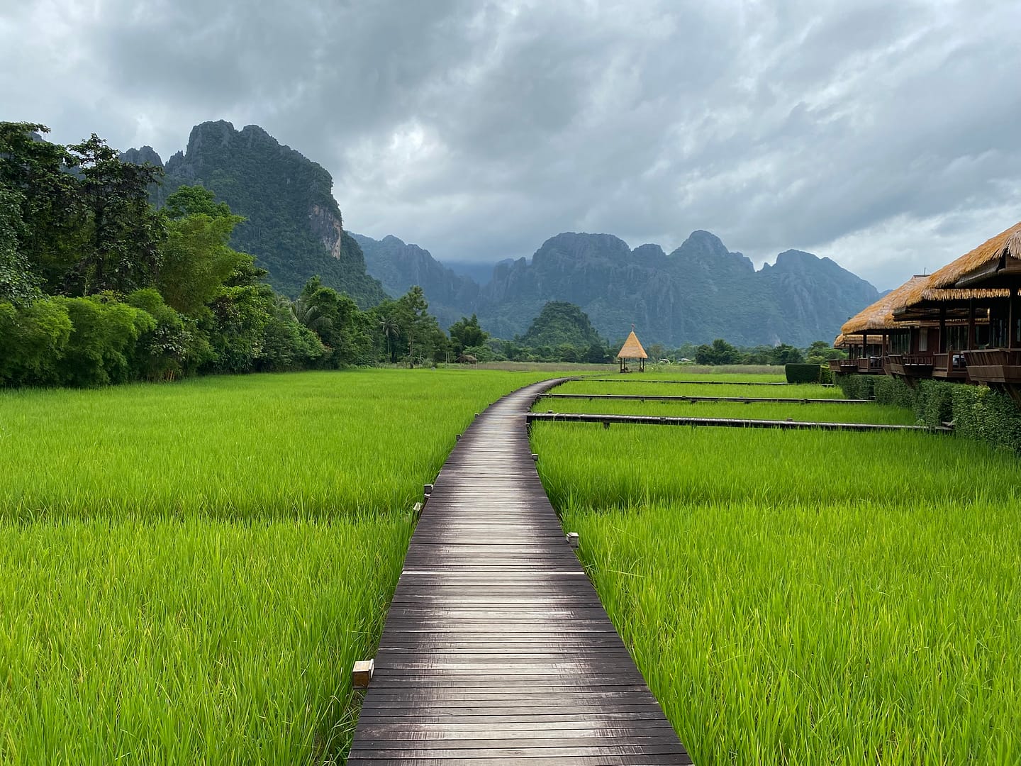 Camps d’arròs de Vieng Tara a Vang Vieng, una parada imprescindible per descobrir què fer a Vang Vieng