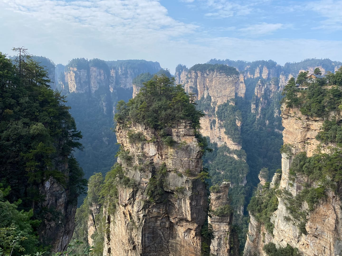 Formacions rocoses verticals de Zhangjiajie que van inspirar les muntanyes flotants de la pel·lícula Avatar