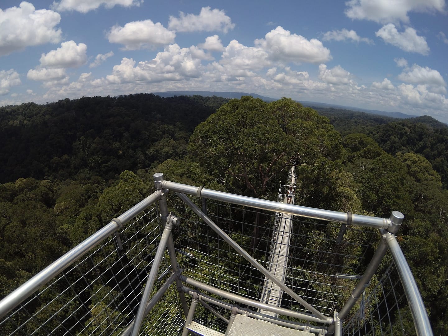 Vista des del Canopy Walkway del Parc Nacional Ulu Temburong amb l’horitzó selvàtic al fons