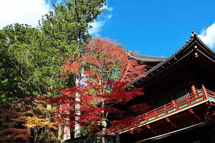 Santuari Toshogu de Nikko envoltat de colors de tardor amb fulles vermelles i daurades