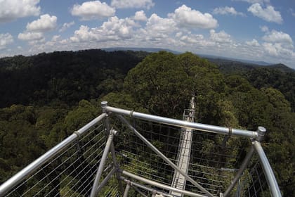 Vista des del Canopy Walkway del Parc Nacional Ulu Temburong amb l’horitzó selvàtic al fons