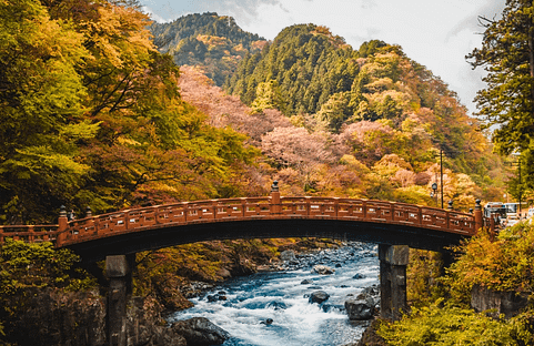 Pont Shinkyo de Nikko sobre el riu Daiya, envoltat de natura