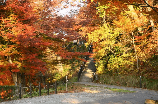 Escales de pedra envoltades de bosc que pugen al castell de Takayama