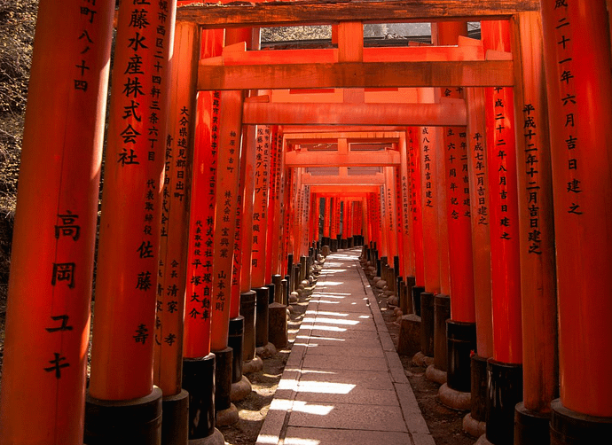 Camí de torii vermells alineats a Fushimi Inari Taisha, amb llum filtrada entre les portes.