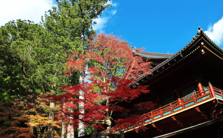 Santuari Toshogu de Nikko envoltat de colors de tardor amb fulles vermelles i daurades