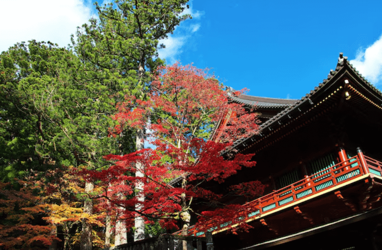 Santuari Toshogu de Nikko envoltat de colors de tardor amb fulles vermelles i daurades