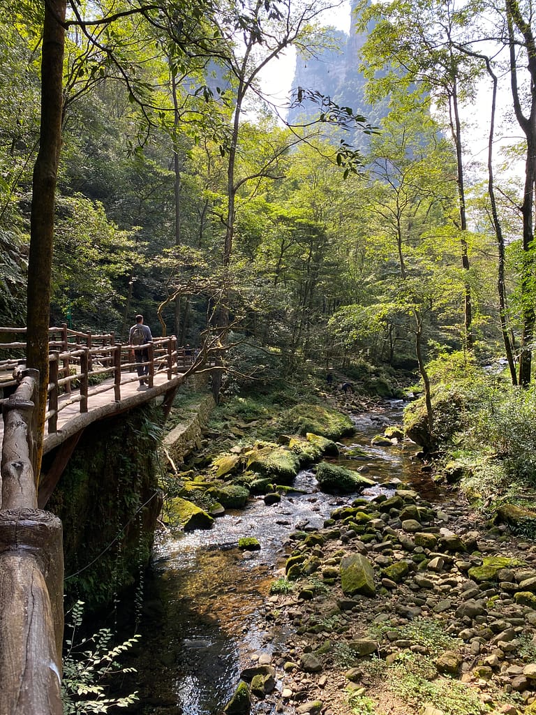 Sender de la Milla daurada al Parc Nacional de Zhangjiajie amb vistes a les muntanyes de pedra arenisca