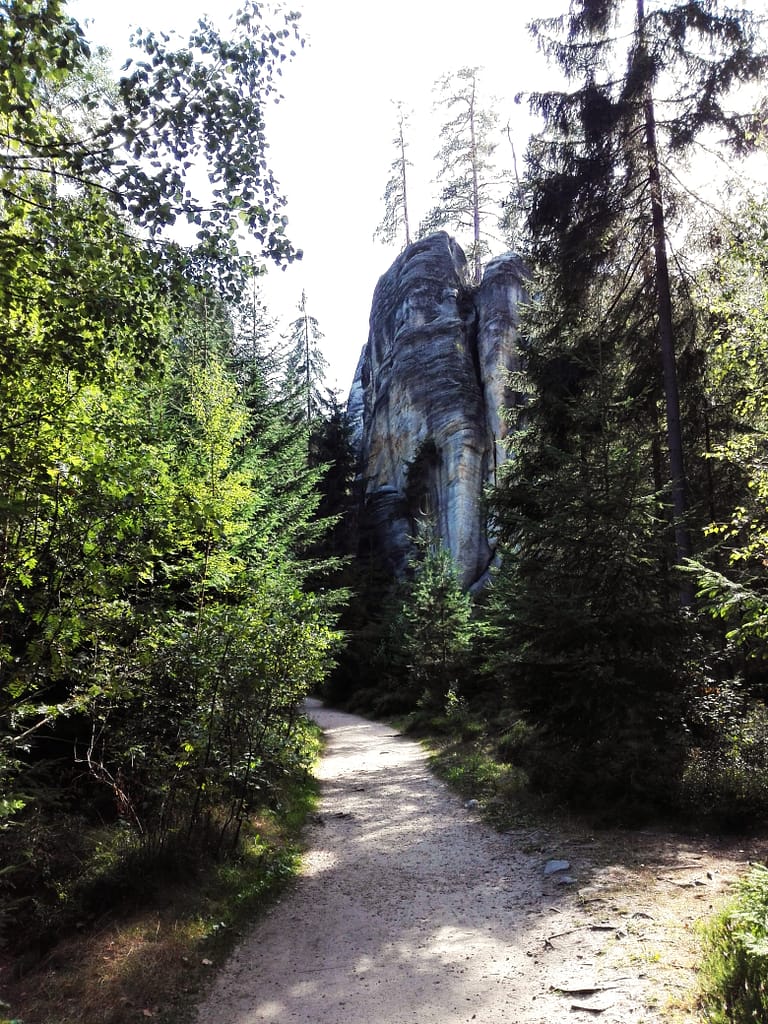 Camí entre vegetació per les formacions rocoses de Teplice nad Metují dins del paisatge natural de les Adršpach-Teplice Rocks