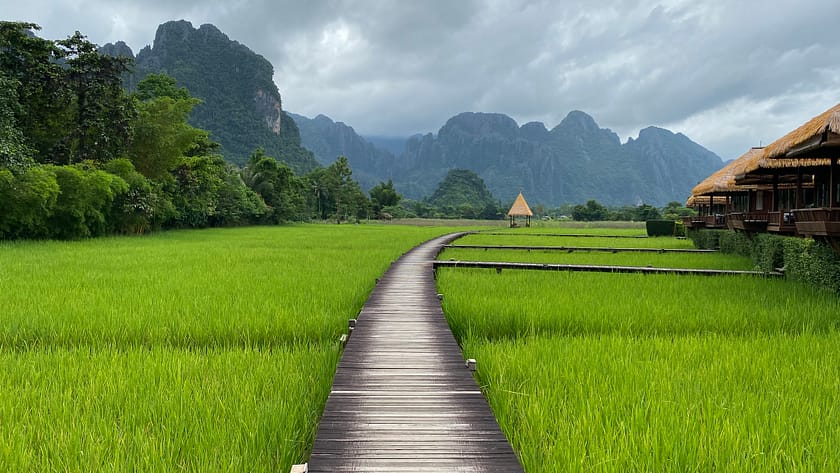 Camps d’arròs de Vieng Tara a Vang Vieng, una parada imprescindible per descobrir què fer a Vang Vieng