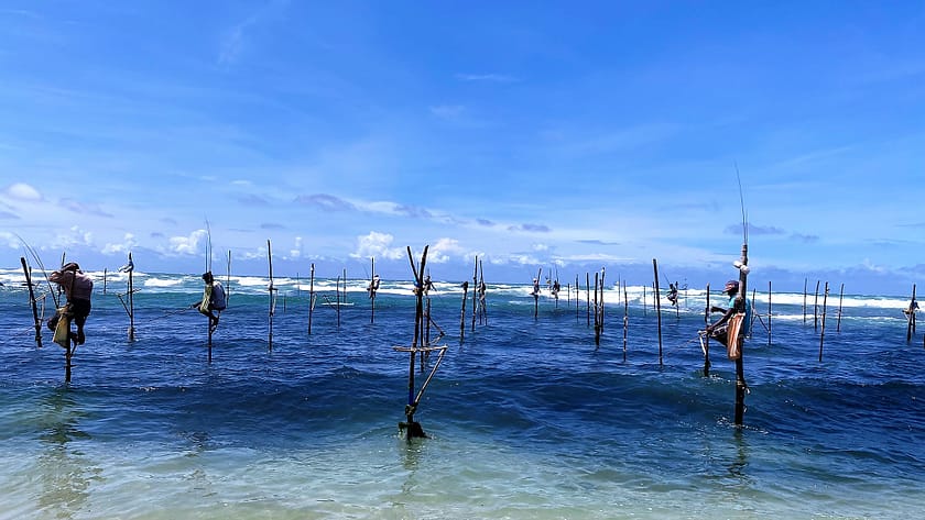 Pescadors tradicionals de Sri Lanka asseguts sobre pals a Koggala, entre Mirissa i Galle