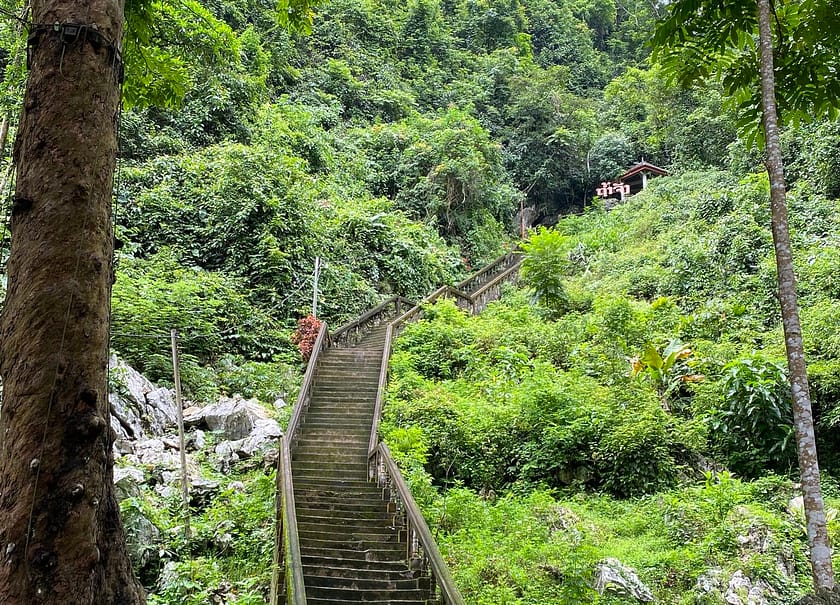 Escales entre vegetació a Vang Vieng, accés natural a coves i miradors dins les activitats de què fer a Vang Vieng