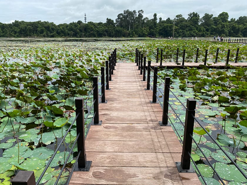 Llac de Neak Pean amb vegetació aquàtica i reflexos – Què fer a Siem Reap