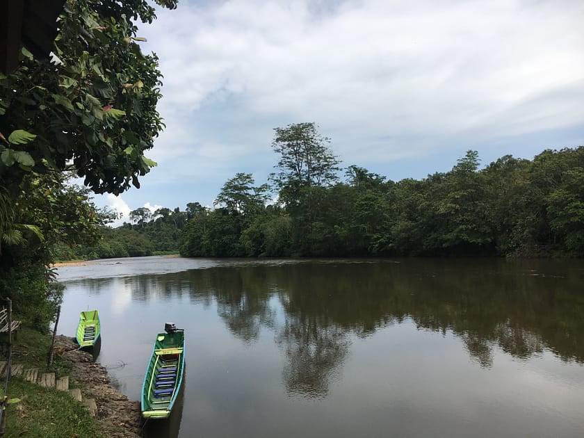Vista del riu Temburong serpentejant pel cor de la selva a Sumbiling Eco Village