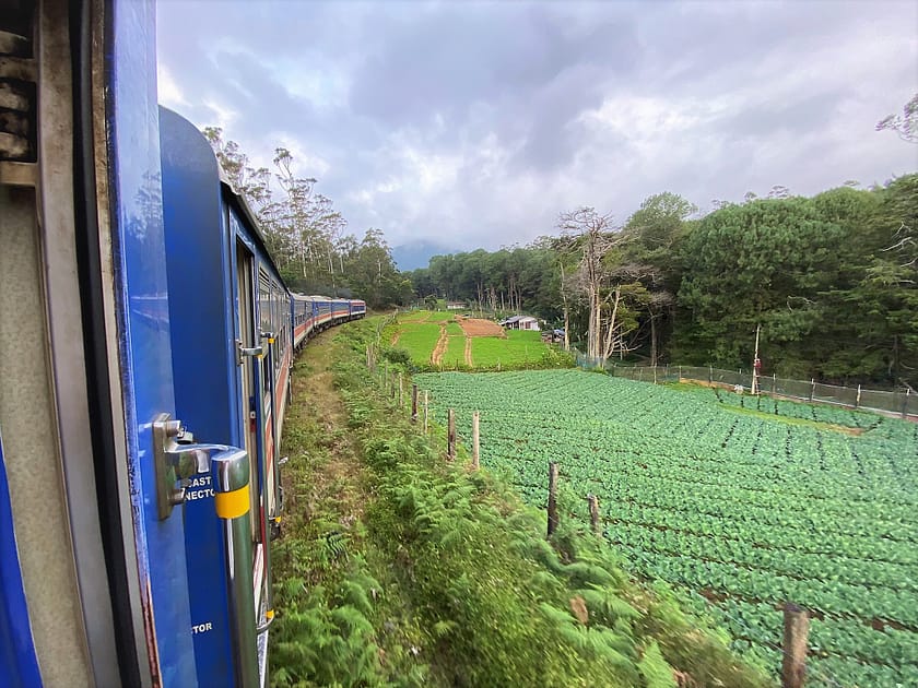 Vista des del tren cap a Sigiriya, amb camps de te i vegetació tropical al centre de Sri Lanka