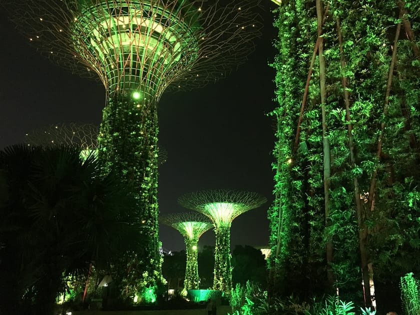 Vista nocturna dels Gardens by the Bay a Singapur amb els Supertrees il·luminats