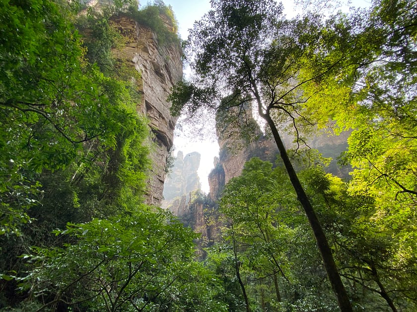 Paisatge natural capturat durant un viatge, amb llum suau i atmosfera tranquil·la
