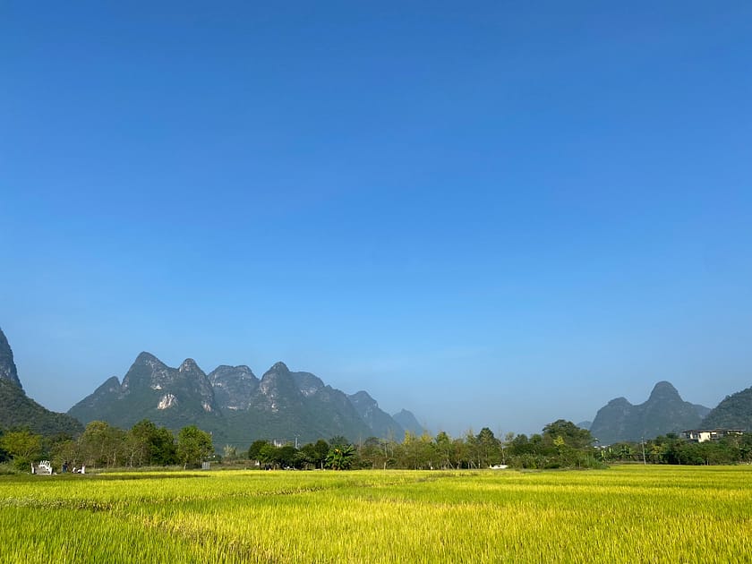 Paisatge verd amb camps d’arròs, arbres i muntanyes kàrstiques als voltants de Yangshuo, Xina