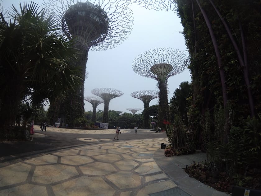 Supertrees de Gardens by the Bay vistos de dia amb cel blau i vegetació tropical