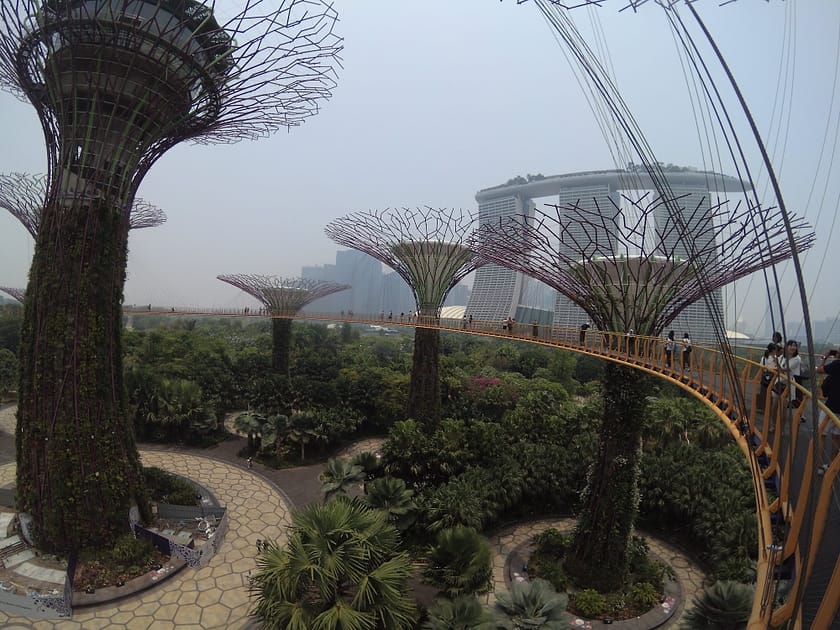 Vista panoràmica des de la passarel·la OCBC Skyway amb els Supertrees de Gardens by the Bay de dia