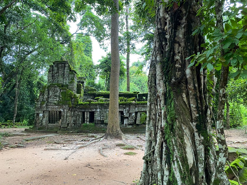 Temple Preah Khan envoltat d’arbres centenaris – Què fer a Siem Reap