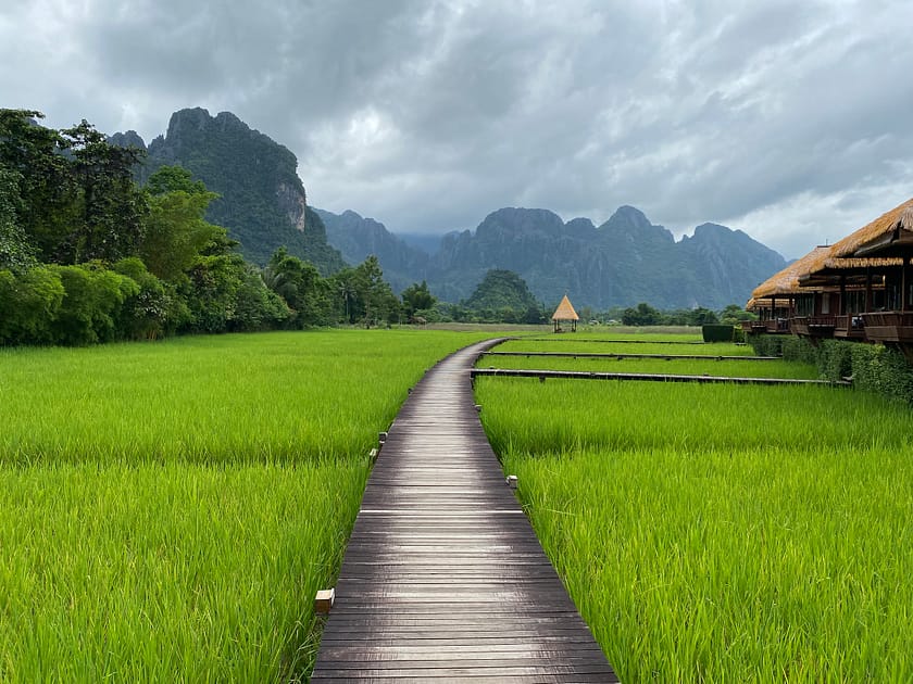 Camps d’arròs de Vieng Tara a Vang Vieng, una parada imprescindible per descobrir què fer a Vang Vieng