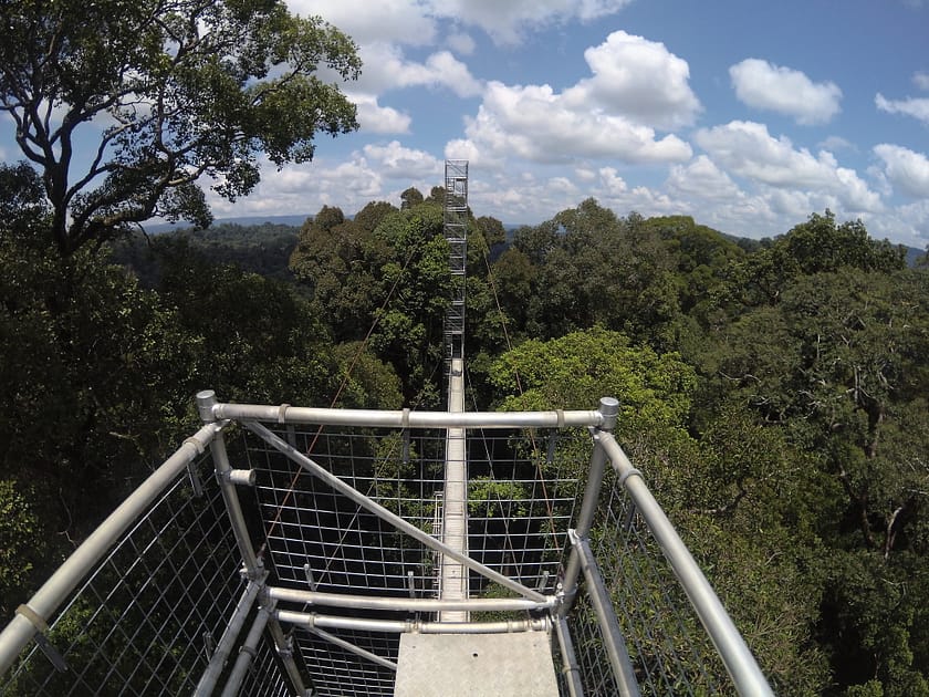 Passarel·les suspeses del Canopy Walkway al Parc Nacional Ulu Temburong, envoltades de selva tropical