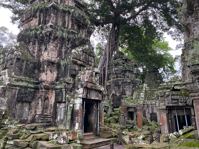 Temple Ta Prohm amb arrels gegants entre les ruïnes – Què fer a Siem Reap