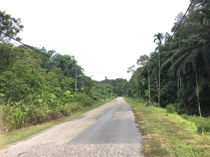 Vista de les carreteres envoltades de selva al Parc Nacional Ulu Temburong