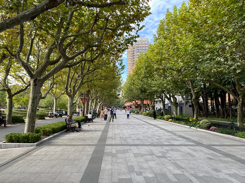 Carrer arbrat a Xintiandi, Shanghai, amb façanes modernes i ombra natural