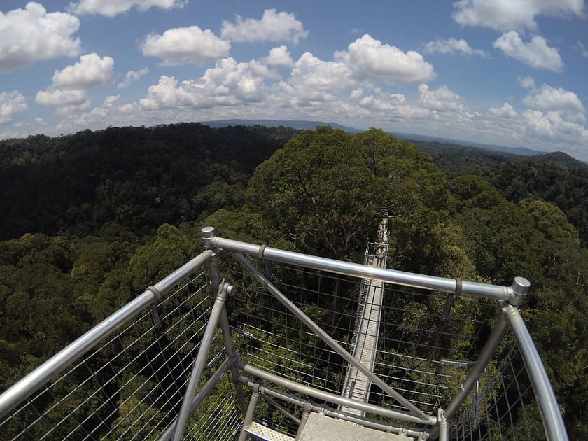 Vista des del Canopy Walkway del Parc Nacional Ulu Temburong amb l’horitzó selvàtic al fons