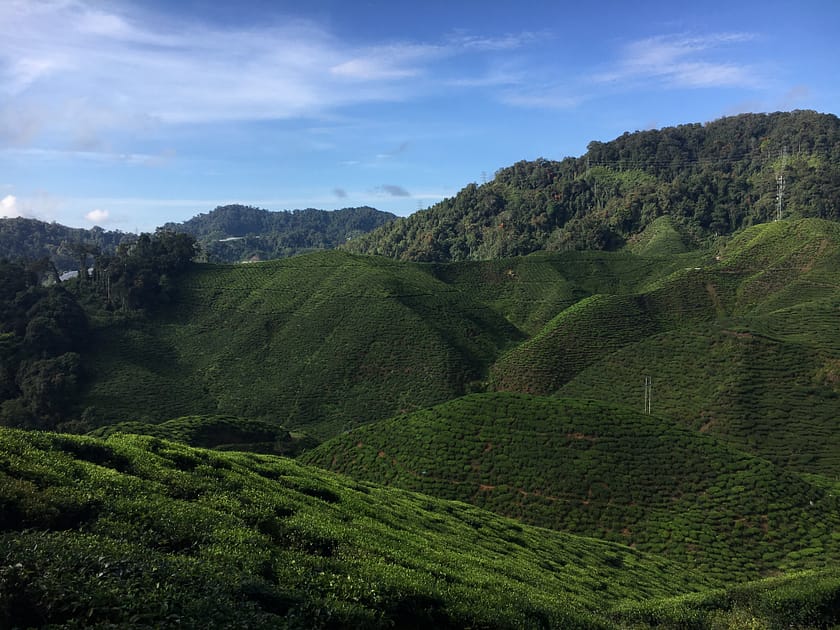 Vistes panoràmiques des del cim del Gurung Jasar a Cameron Highlands