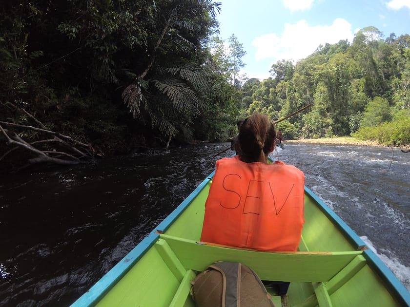 Embarcació tradicional navegant pel riu Temburong entre la selva tropical de Brunei