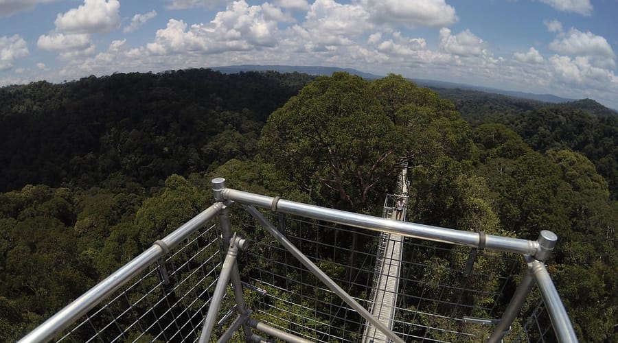 Vista des del Canopy Walkway del Parc Nacional Ulu Temburong amb l’horitzó selvàtic al fons